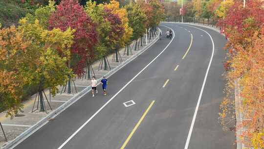 林荫道上有人跑步骑车的秋日道路景象