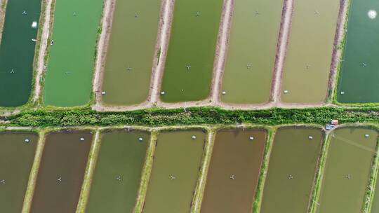 中国大型专业人工养鱼池工业农业自然风光