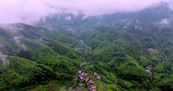 广西山区竹林竹海竹山云海翻滚航拍