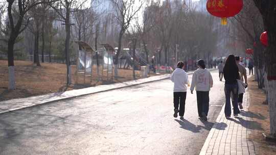 春节逛公园的人群视频素材模板下载