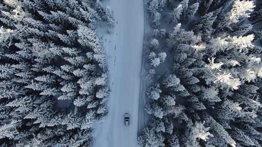 新疆喀纳斯雪景 冰雪公路行车航拍