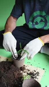 人把土壤放在盆栽植物上