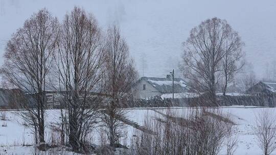 航拍东北林区下雪时山村