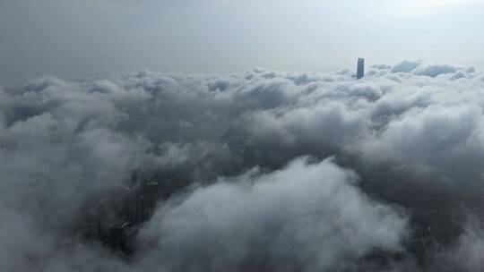 上海疫情平流雾绝美天气航拍