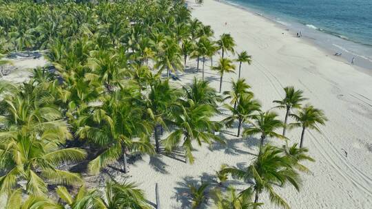 椰林阳光沙滩航拍
