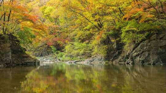 秋叶秋季山谷山沟