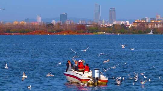 航拍滇池游船与海鸥