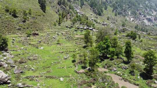 山间绿树草地环绕的小屋风景