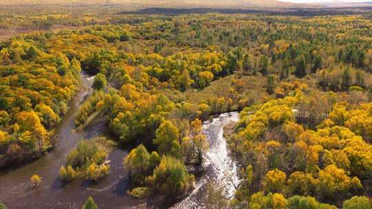 东北大兴安岭原始森林秋天航拍
