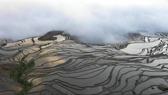 中国水稻梯田