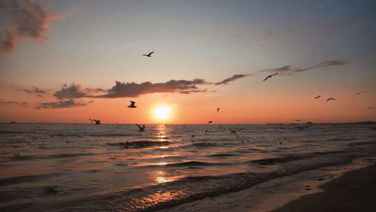 夕阳下大海海鸥飞行唯美意境空镜头