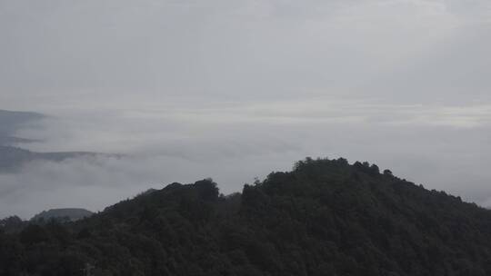 雨林云海