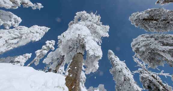 高清实拍瓦屋山冬天雪景雪山森林