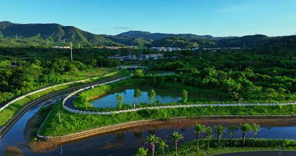 【正版素材】新大河禾塘湿地公园