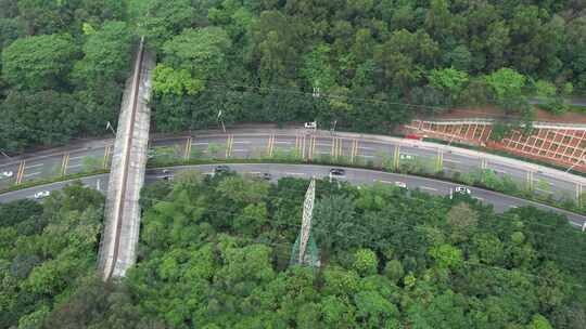 林间公路航拍