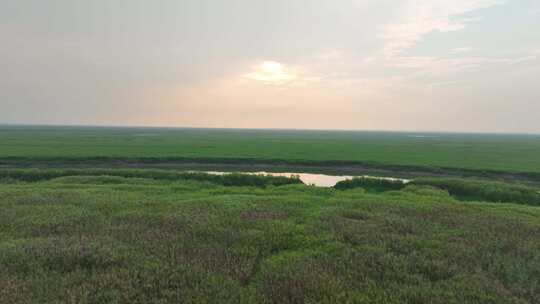 鄱阳湖风景航拍湖泊湿地公园草地河流风光