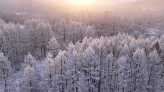 林海雪原雾凇暖阳