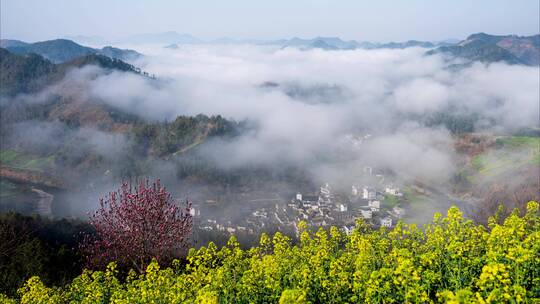 石潭油菜花期云海散去显露出山下村庄