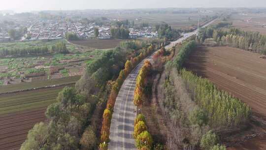 乡村公路田野航拍全景