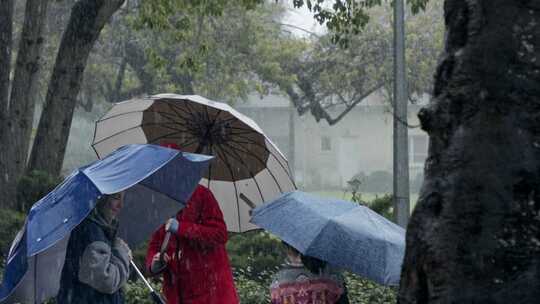 孩子们拿着雨伞在雨中跳上跳下