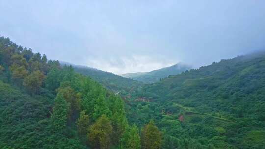 飞越烟雨森林山谷航拍