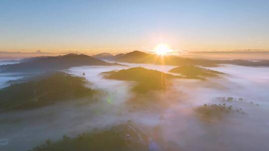 茶山茶园云海日出