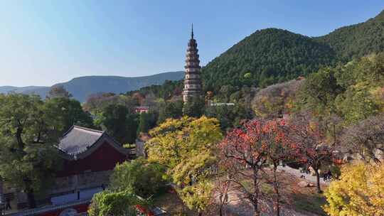 深秋的灵岩寺，色彩斑斓