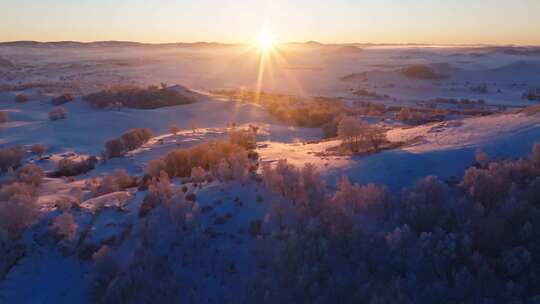 冬季乌兰布统绝美雾凇雪林雪景