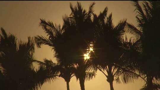 沙滩海边海浪唯美海上夕阳椰子树
