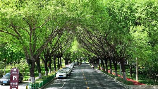 航拍漯河市城市马路车流视频素材模板下载