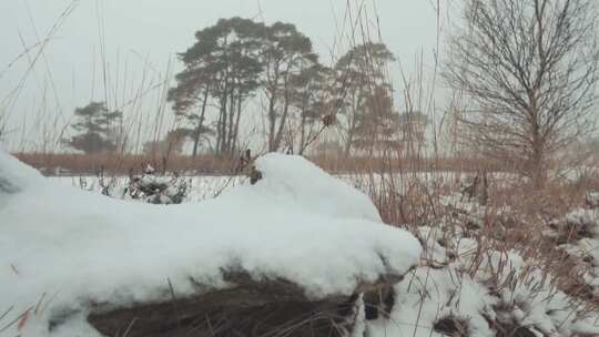 航拍特写被大雪覆盖的森林鹅毛大雪雾凇