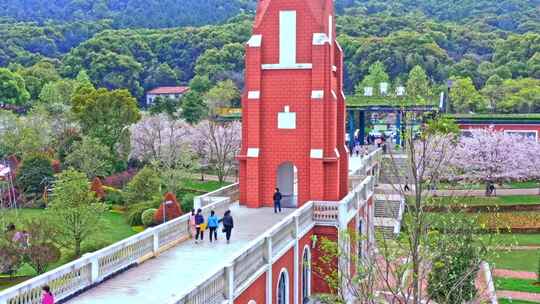 湖南岳阳洞庭湖小镇旅游景区