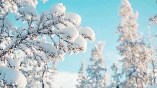 立冬 节气 小雪大雪冬日