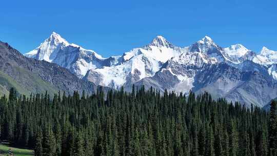 新疆昭苏夏塔雪山