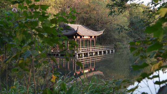 杭州西湖景区赵公堤