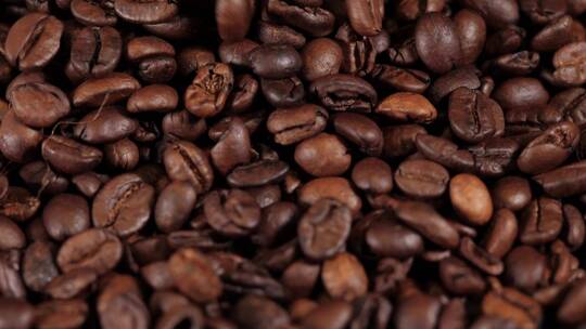 咖啡豆展示样品