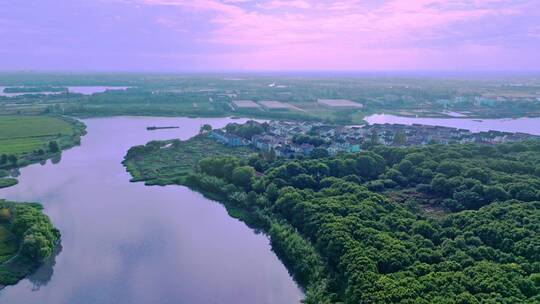 上海青西郊野