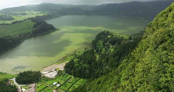 树，山，村庄，湖