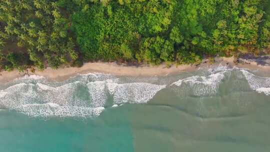 俯瞰海滩海浪与岸边绿植