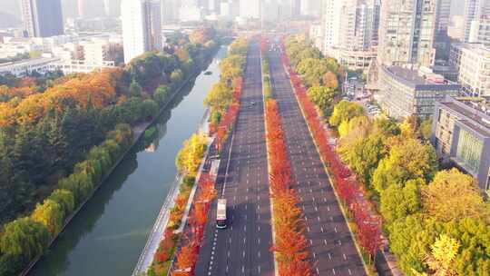 【合集】秋天的城市道路航拍