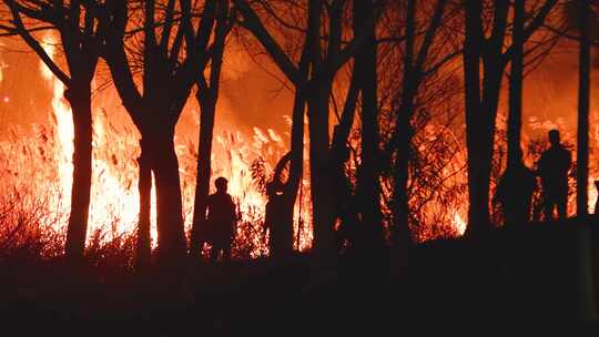 火灾大火山火现场视频素材模板下载