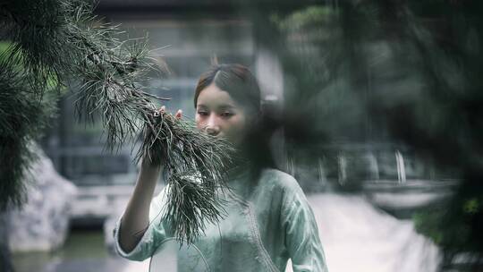 汉服年轻女子在园林景观松树前闻一闻清香