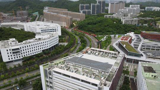 西丽大学城 南方科技大学