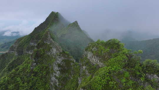 云顶高山脊戏剧性复制背景风景绿色丛林