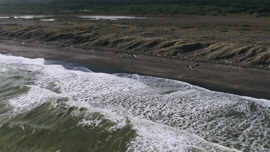 新西兰西海岸海滩回望湿地。视频素材模板下载