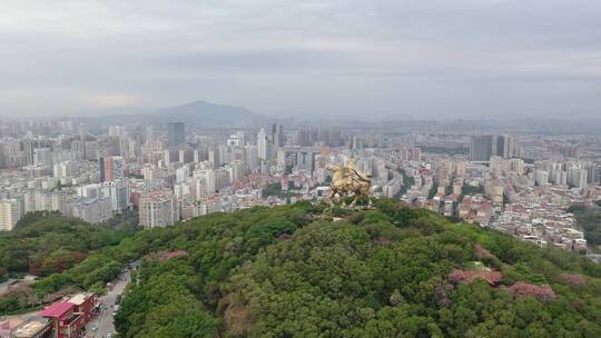 泉州郑成功雕像航拍丰泽区大坪山看市区阴天