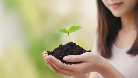 手捧树苗呵护成长