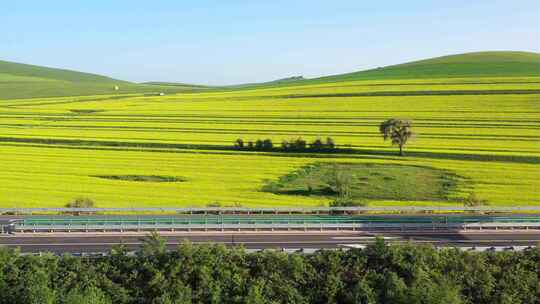 【合集】航拍高速公路中的油菜花海