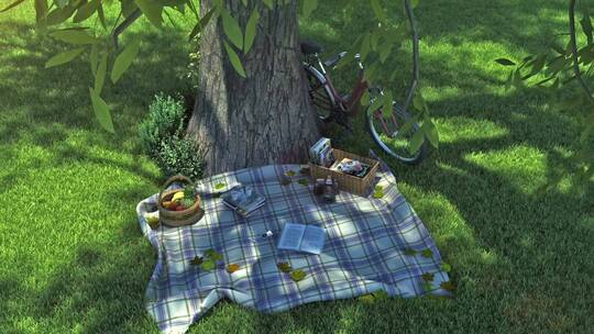 树荫下草坪野餐三维动画