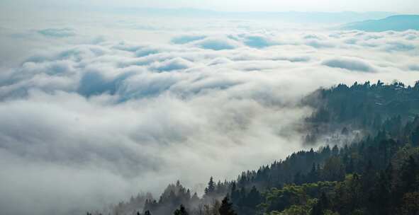 清晨云海日出云层山顶山林山峰云雾缭绕风景